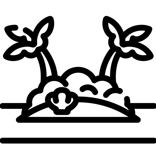 Nadi
