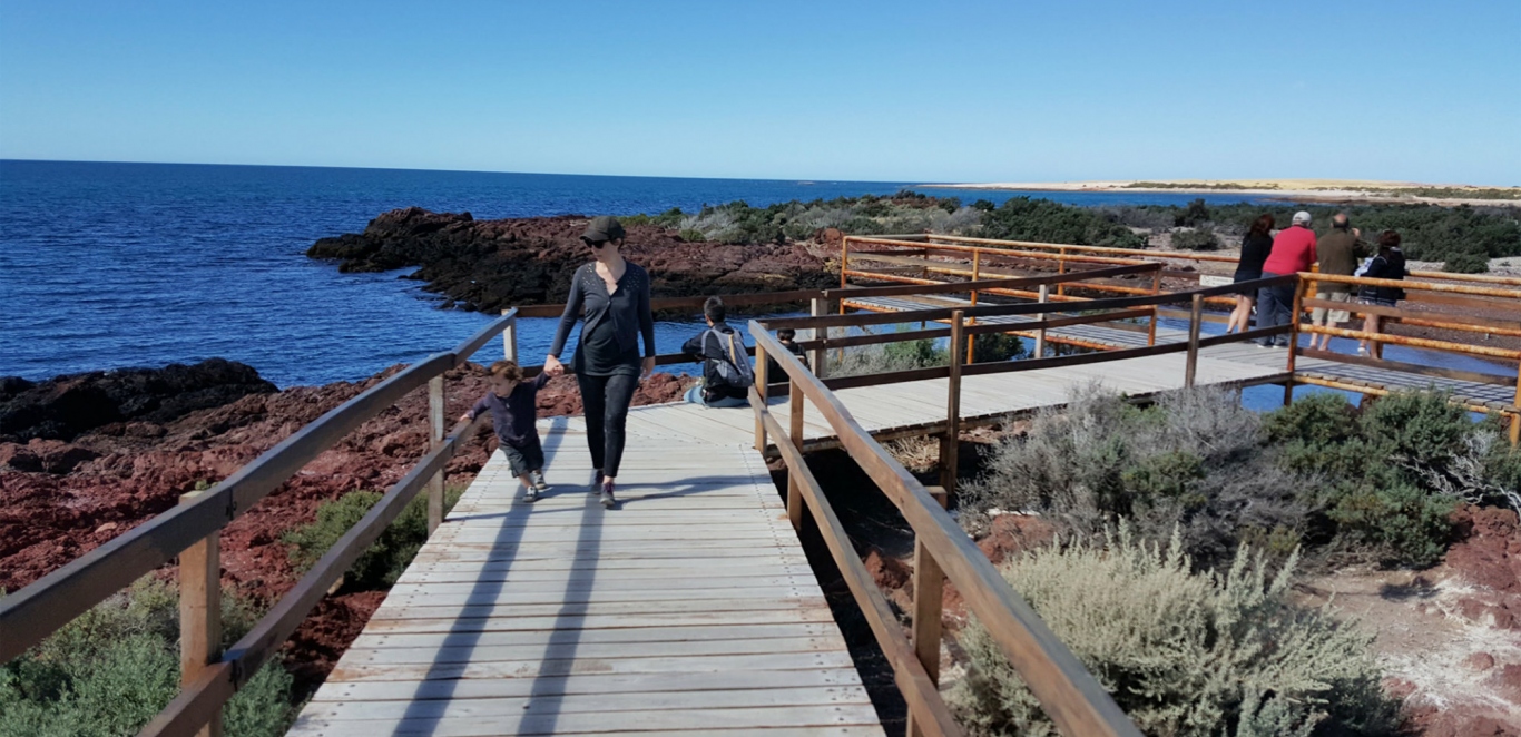 punta tombo (21)
