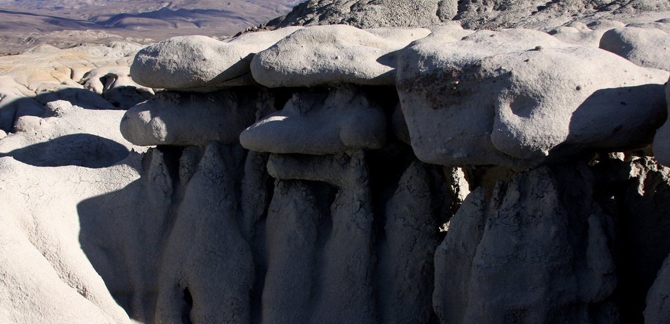 Bosque Petrificado 3