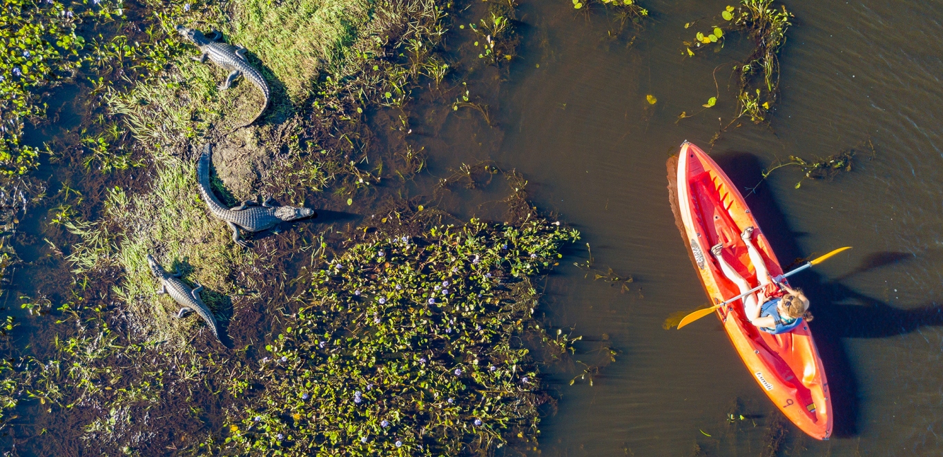 Kayak