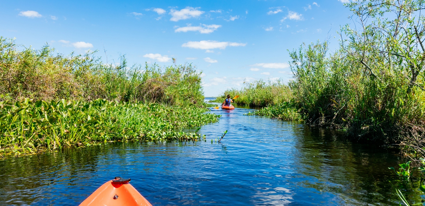 Kayak