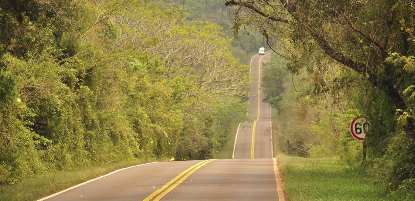 Ruta