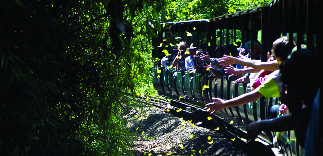 Tren ecologico