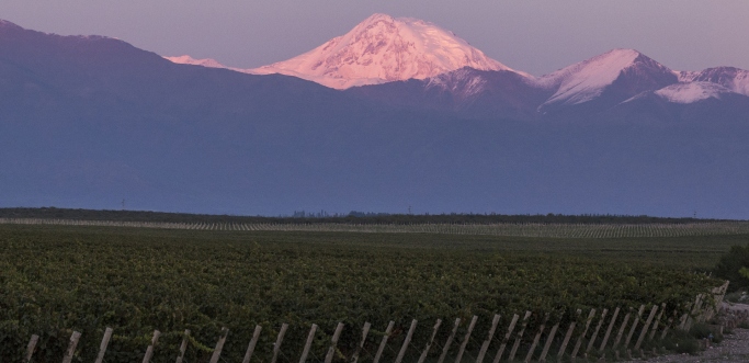 MENDOZA