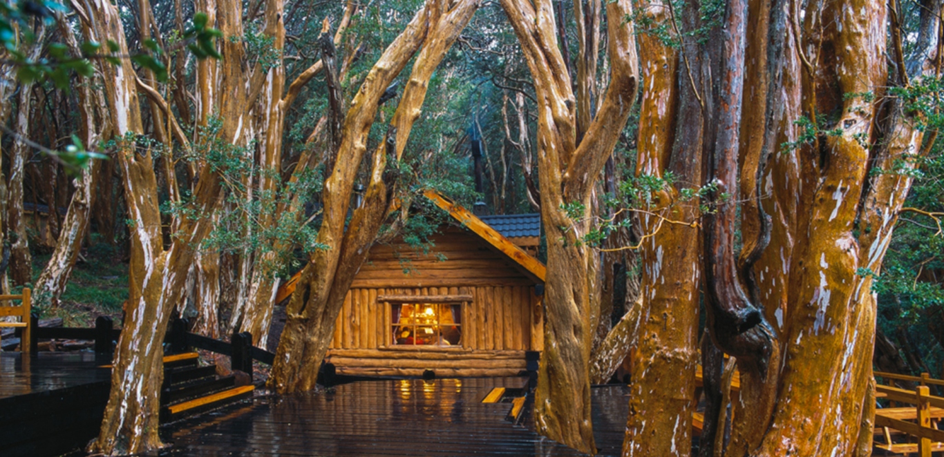 Bosque de Arrayanes