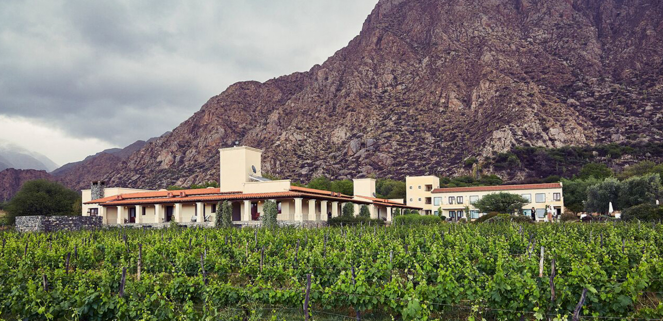 Vi&ntilde;as de Cafayate Wine