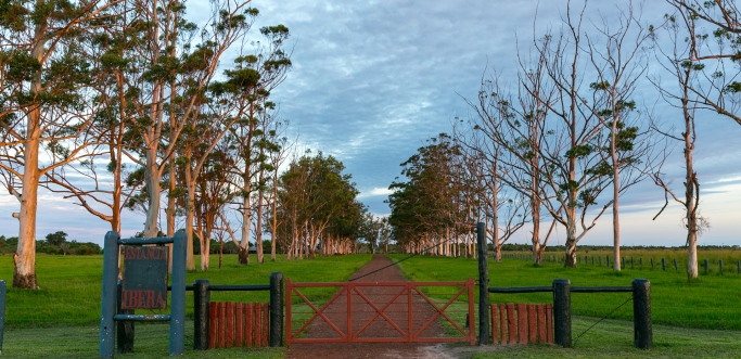 ESTANCIA IBERA