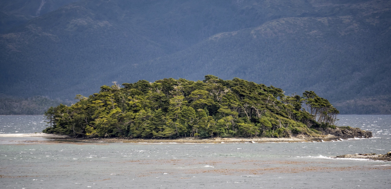 Australis Crucero