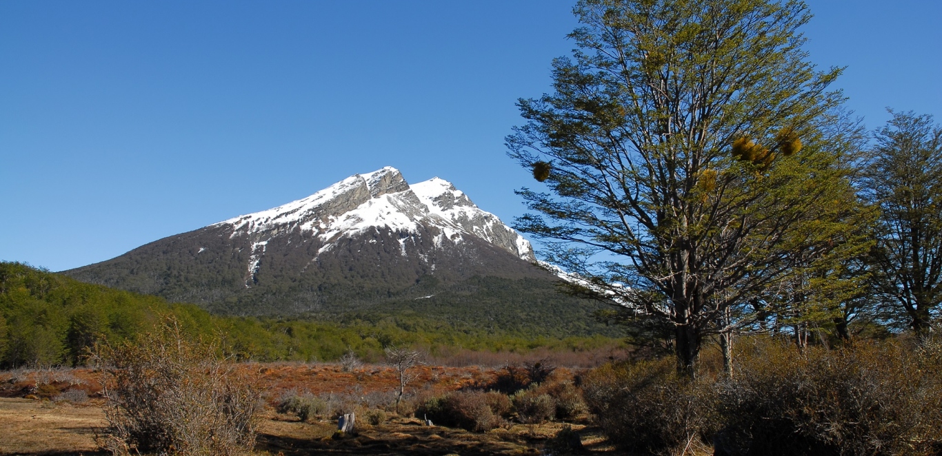Parque Nacional Tierra del Fuego