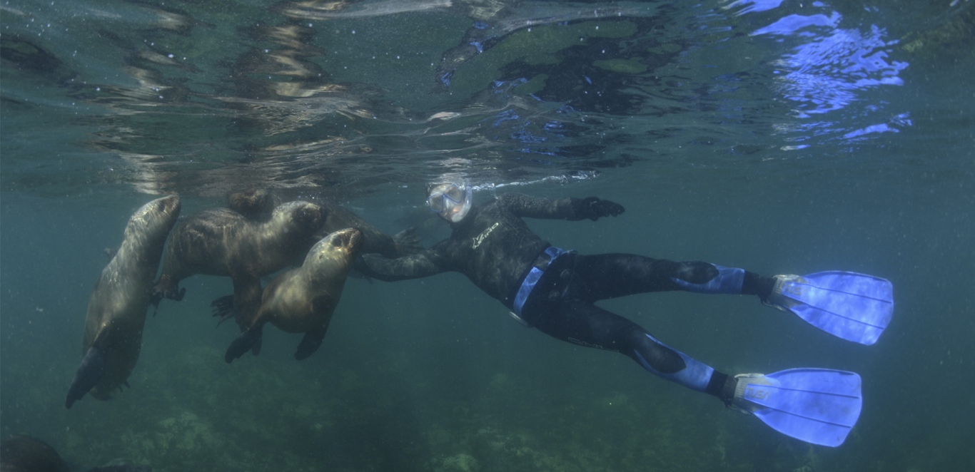Snorkeling - Puerto Madryn