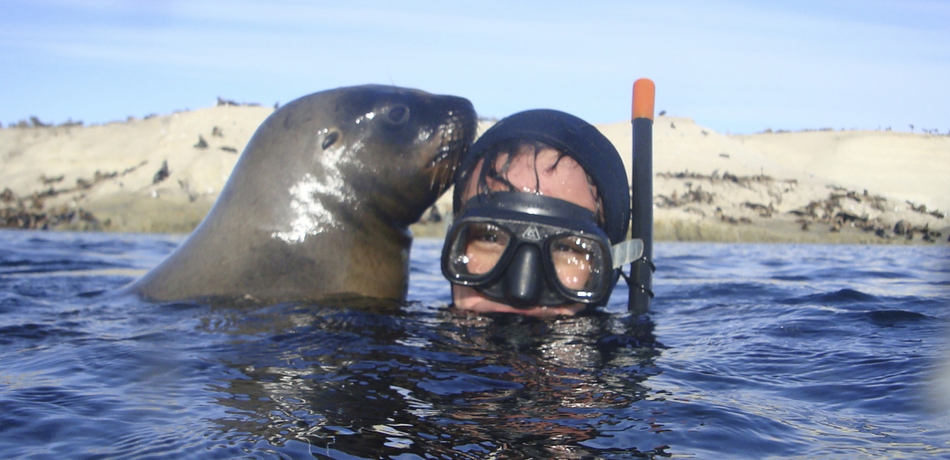 Snorkeling con lobos