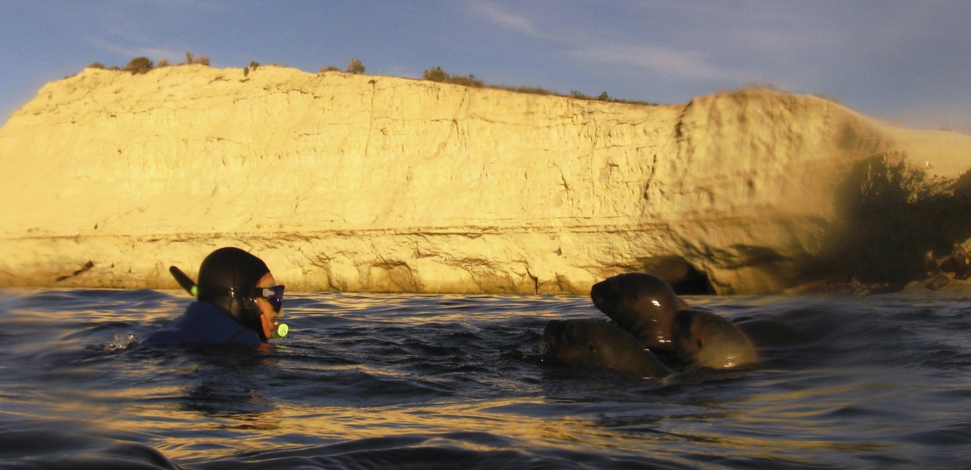Snorkeling con lobos marinos - Puerto Madryn