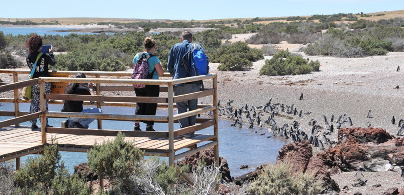 Punta Tombo - Chubut