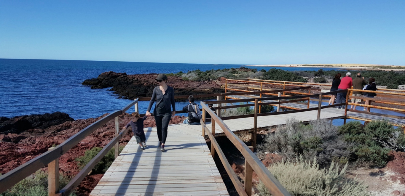 Pasarelas Pinguinera - Chubut