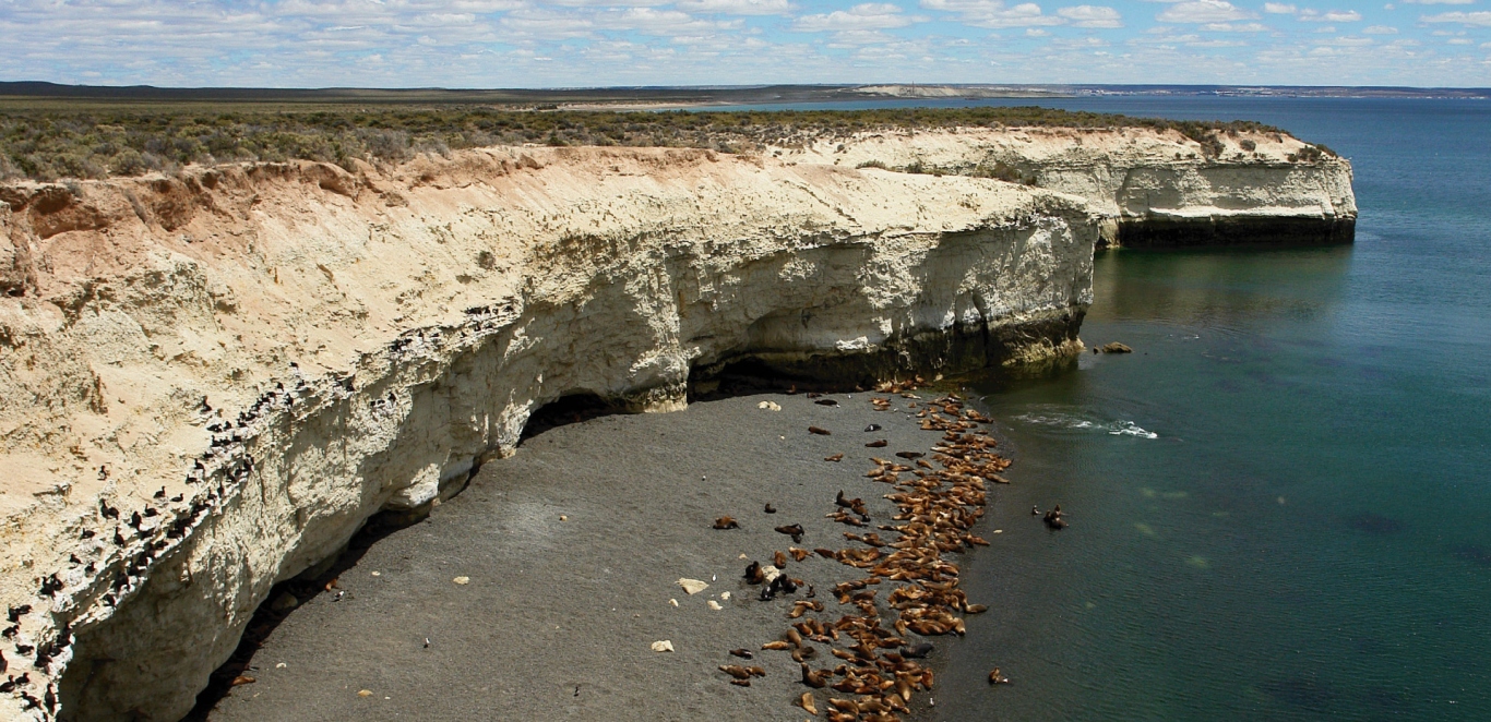 Punta Loma - Lobos Marinos - Argentina