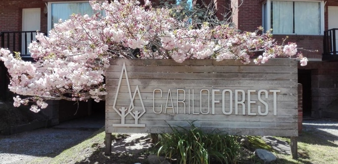 Cariló Forest 