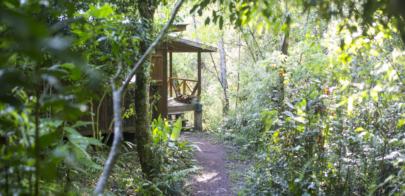 Don Enrique Eco Lodge
