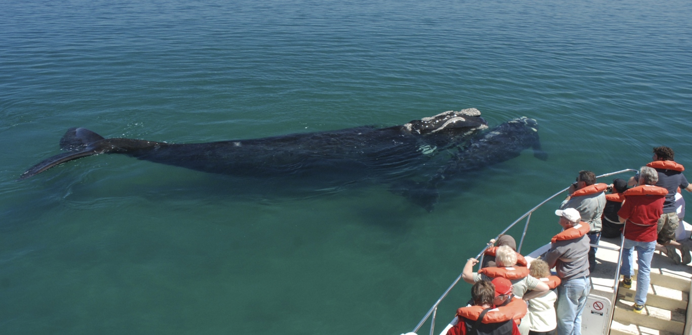 Peninsula de Vald&eacute;s sur
