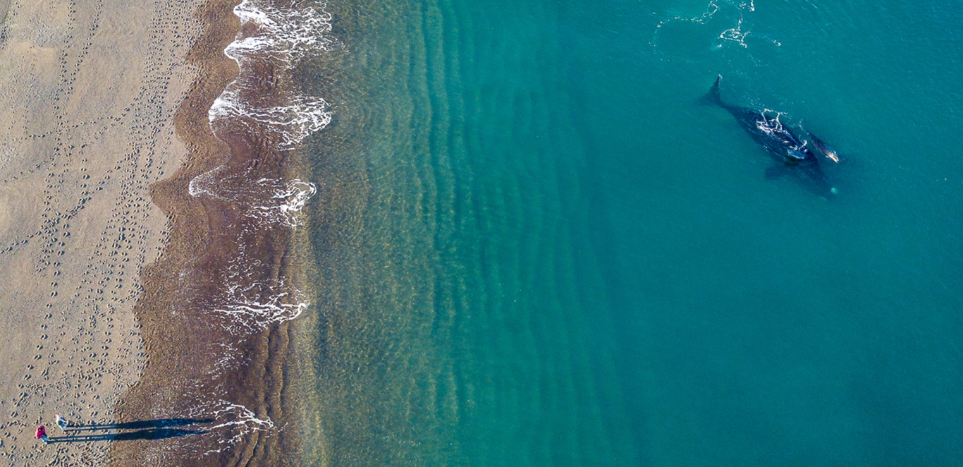 Doradillo Adventure - Puerto Madryn
