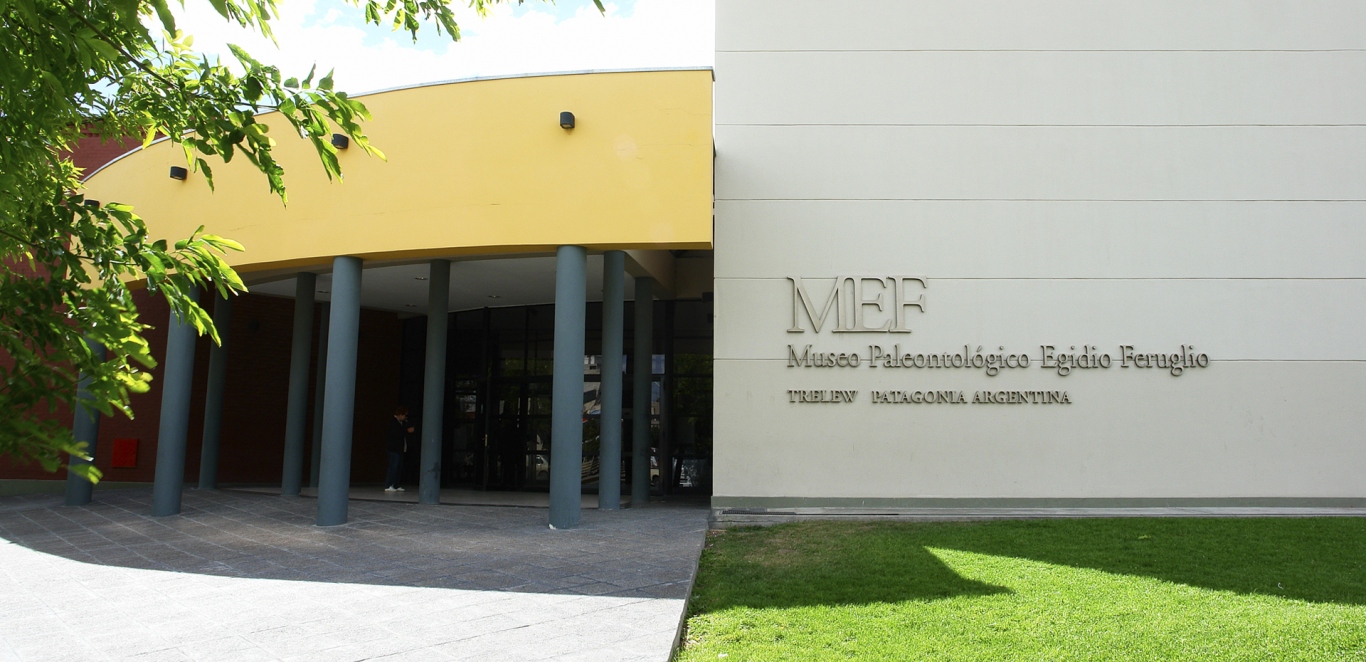 MEF