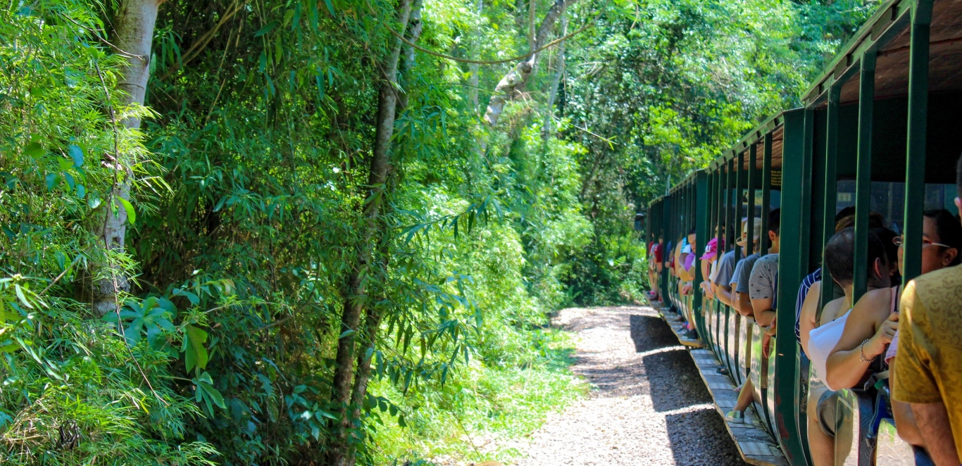 Tren Garganta del Diablo - IguazÃº