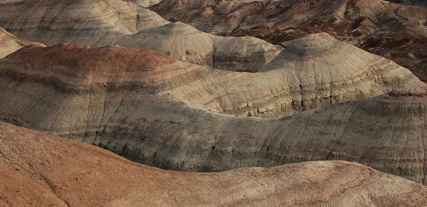 Valle Pintado - Valle de la Luna - San Juan