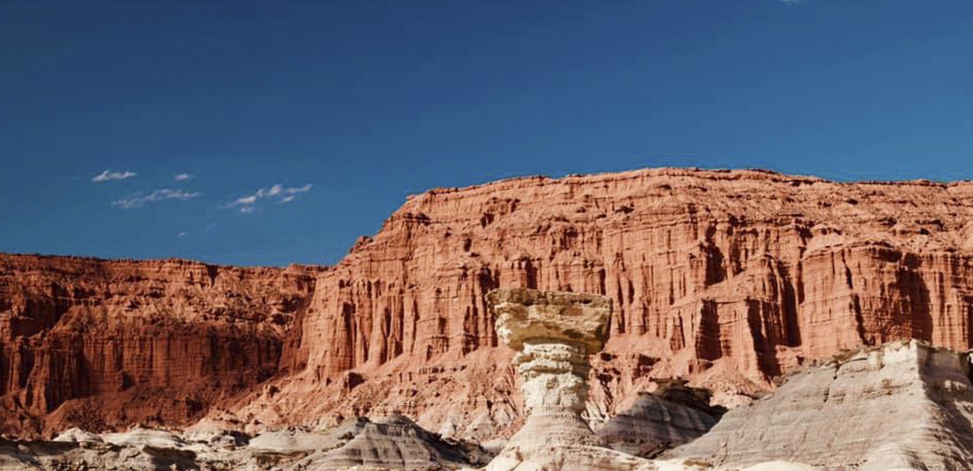 Hongo Valle de la luna