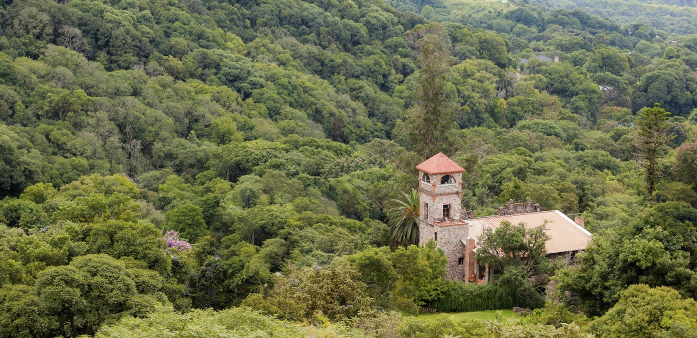 San Lorenzo - Yungas SalteÃ±as