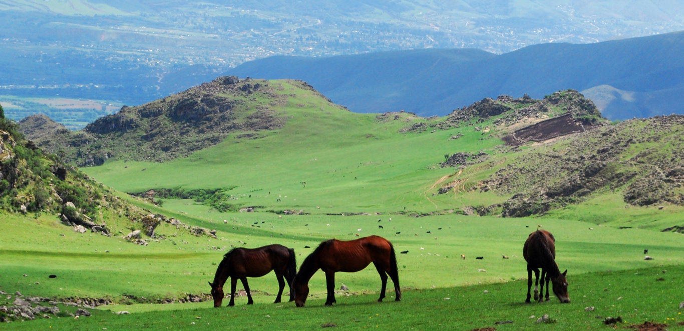 Tafi del Valle