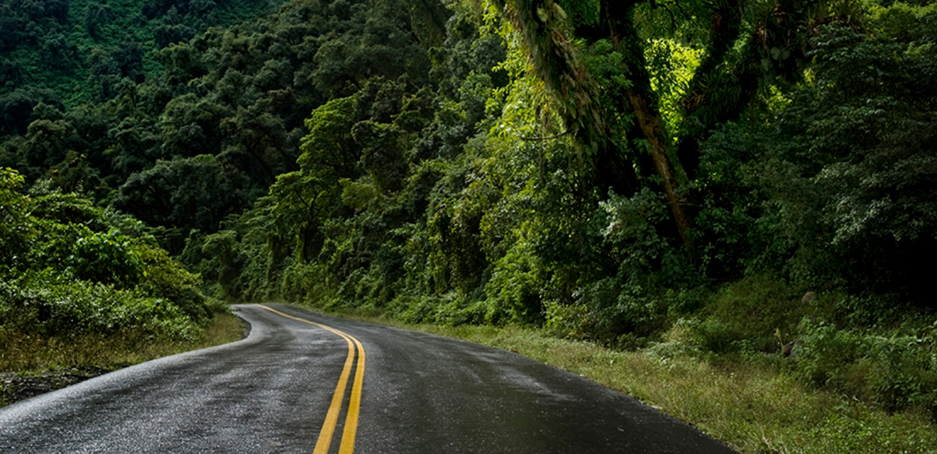 Yungas