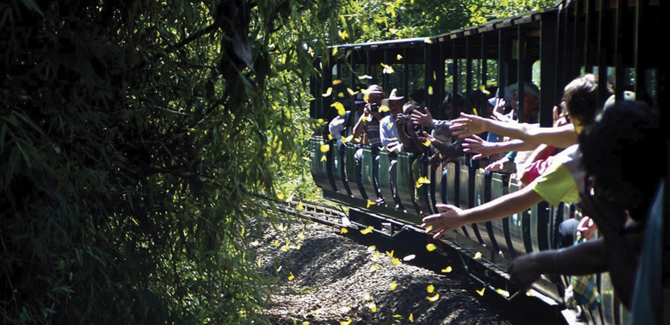Tren Ecologico - Cataratas del Iguazu - Argentina