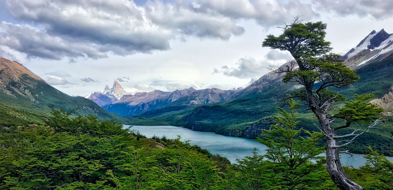 PATAGONIA, NORTE Y CUYO