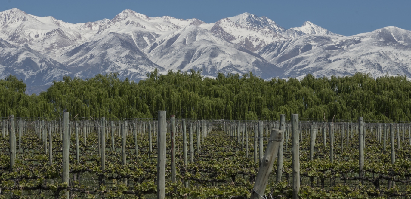 Vi&Atilde;&plusmn;edo