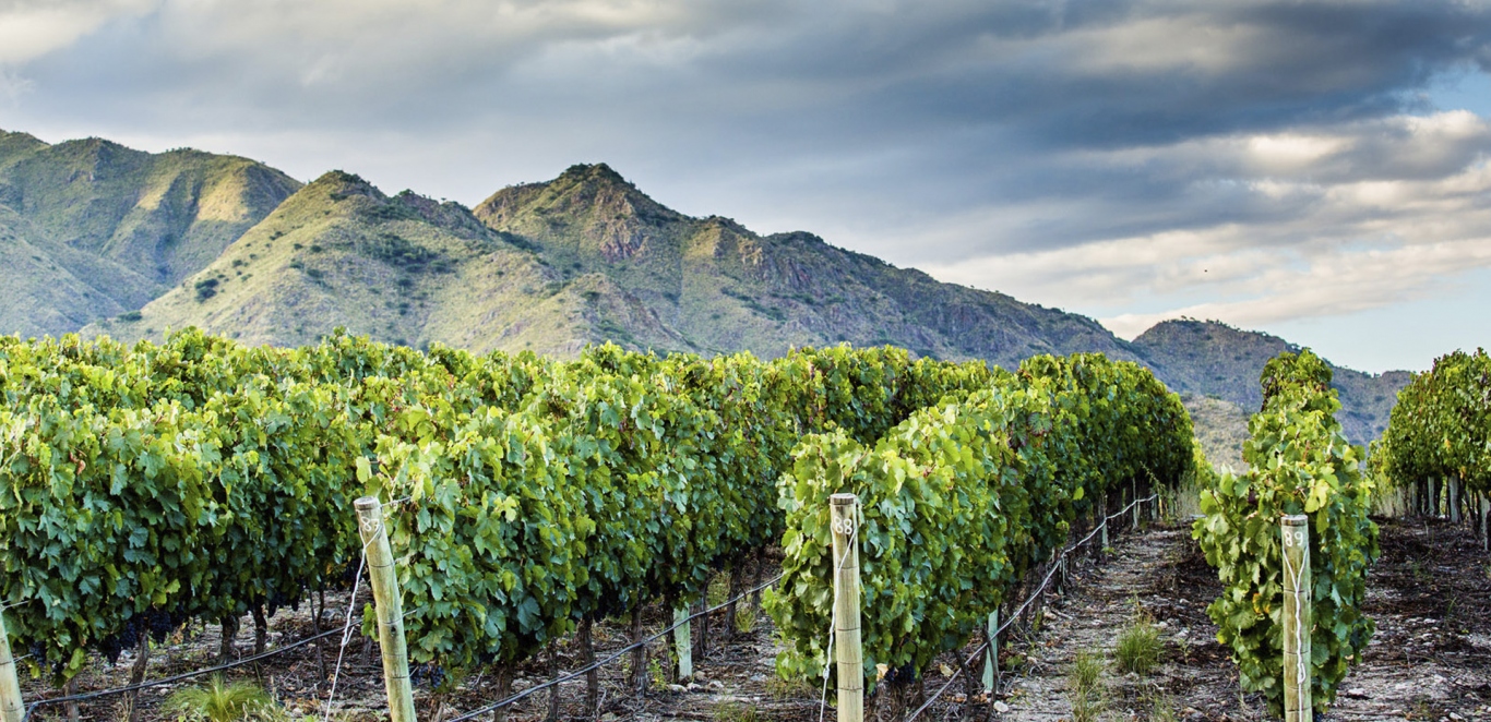 Cafayate - Salta - Argentina