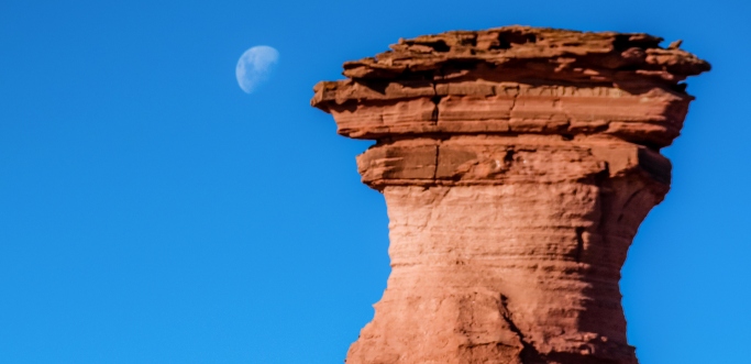 Ischigualasto y Valle de la Luna