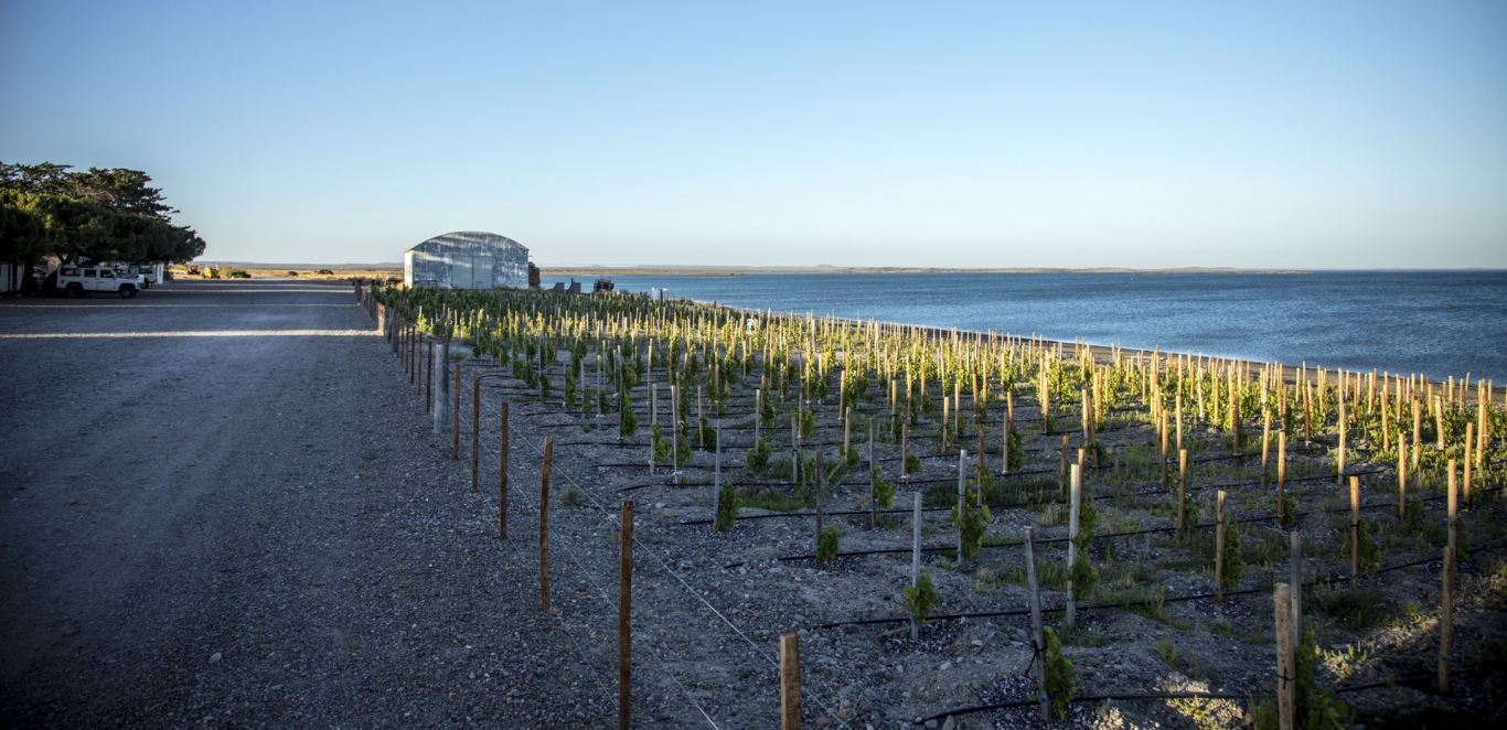 Bahia Bustamante - Chubut - Argentina - Patagonia