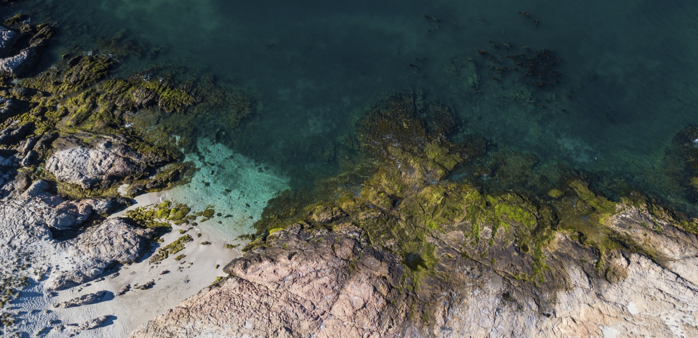 Bahia Bustamante - Chubut - Argentina - Patagonia