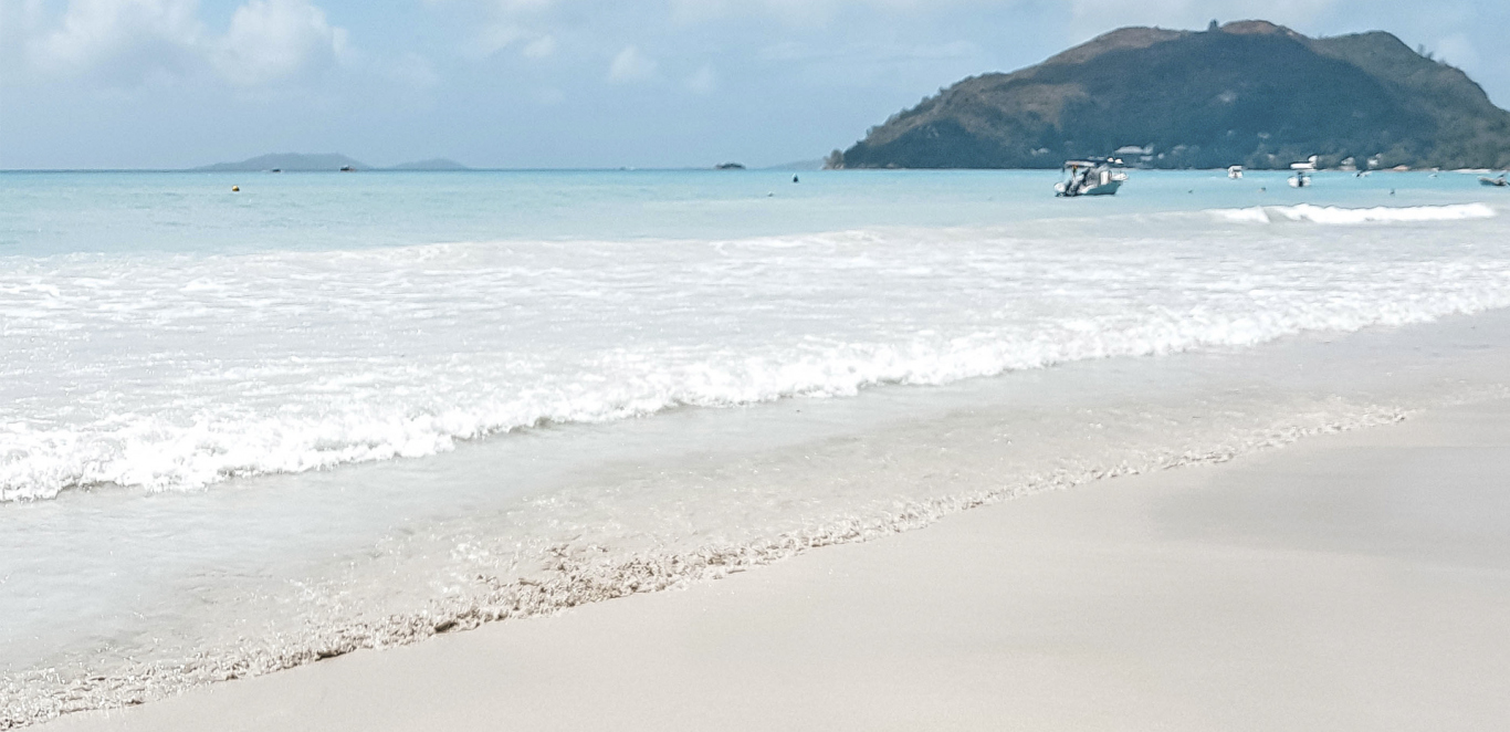 PARADISE ISLAND