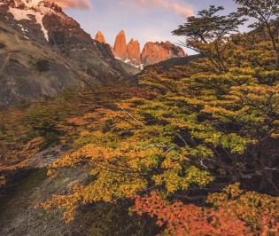 SANTIAGO Y LA PATAGONIA - 6 días