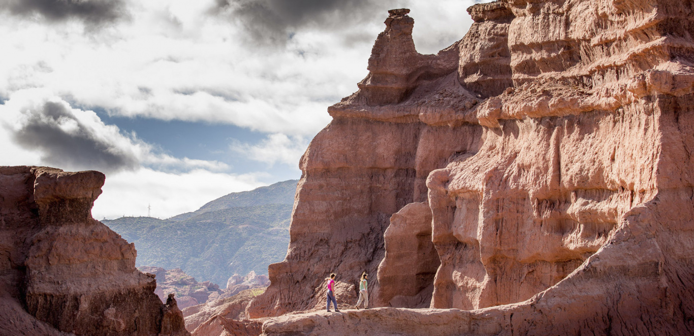 NOA Y ATACAMA