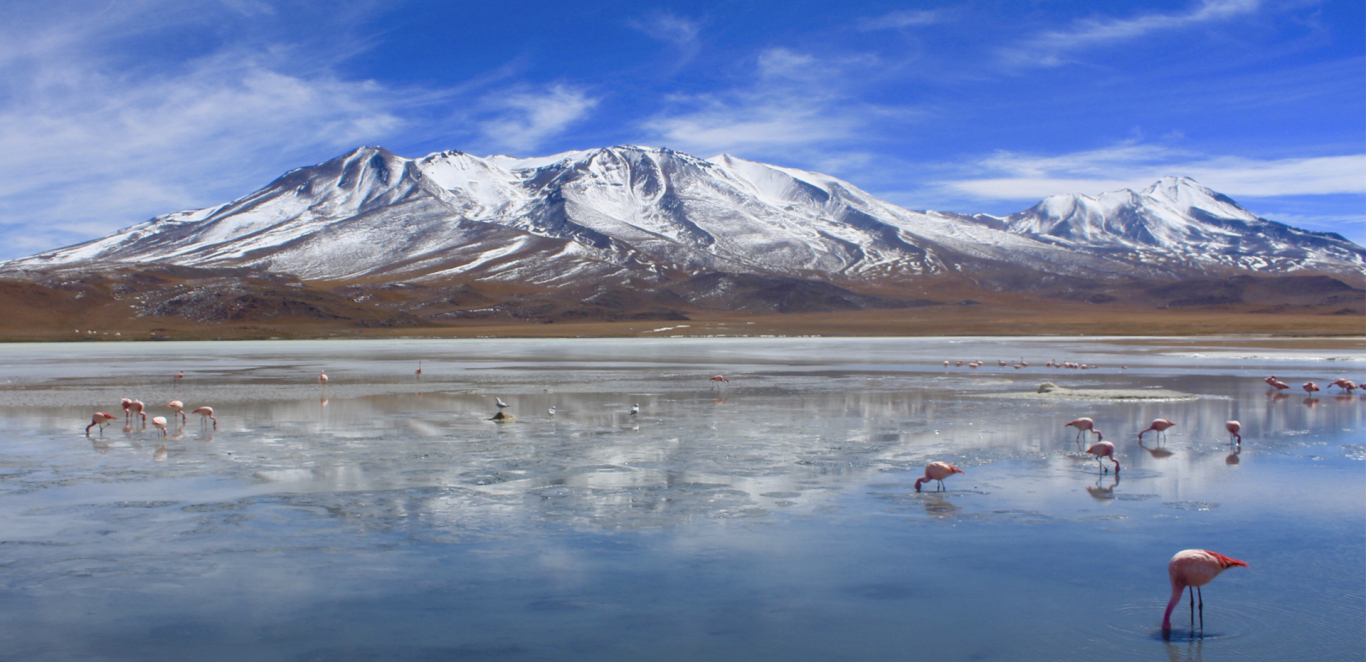ATACAMA Y UYUNI