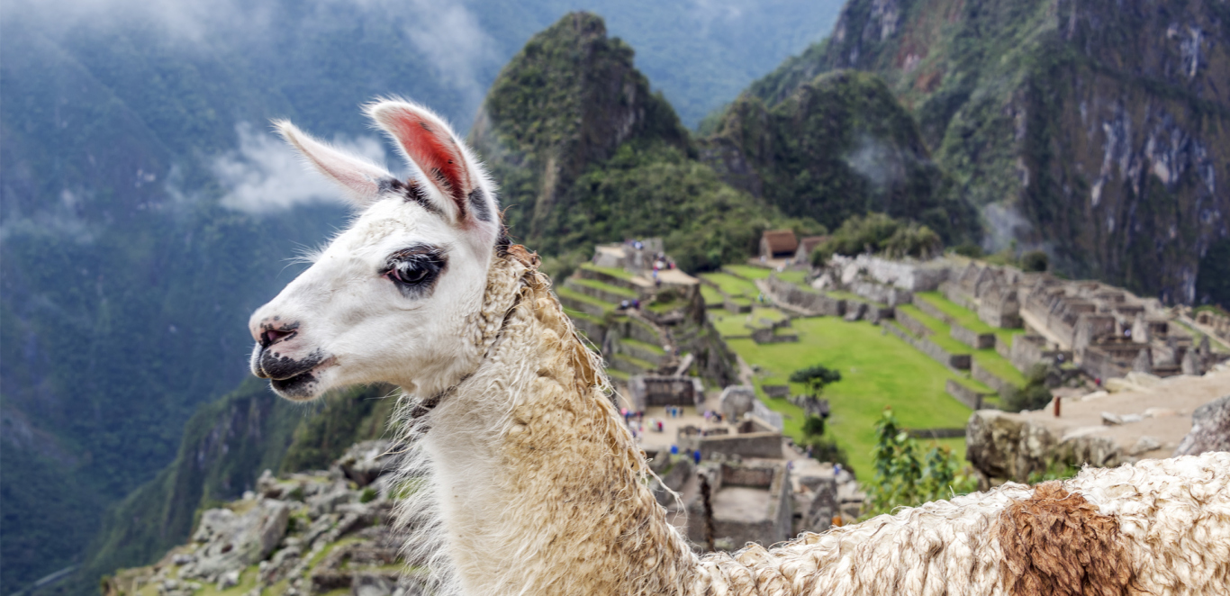 AMANECER EN MACHU PICCHU