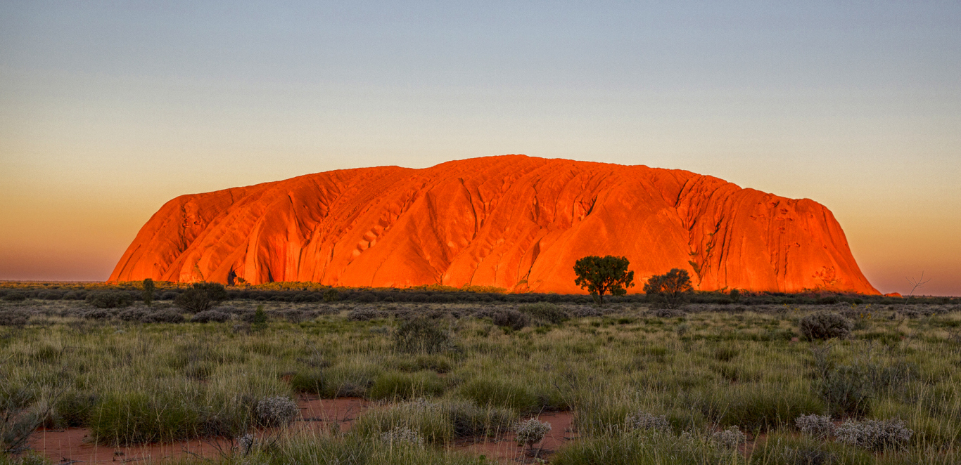 DREAMTIME TOUR