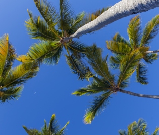 Punta Cana