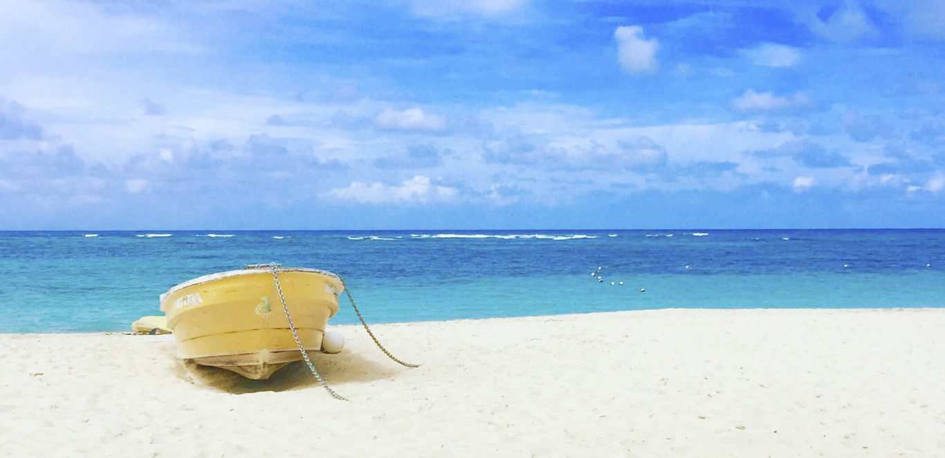PUNTA CANA Y LA ROMANA