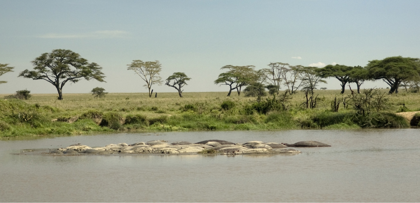 SAFARI CIRCUMNAVEGATION