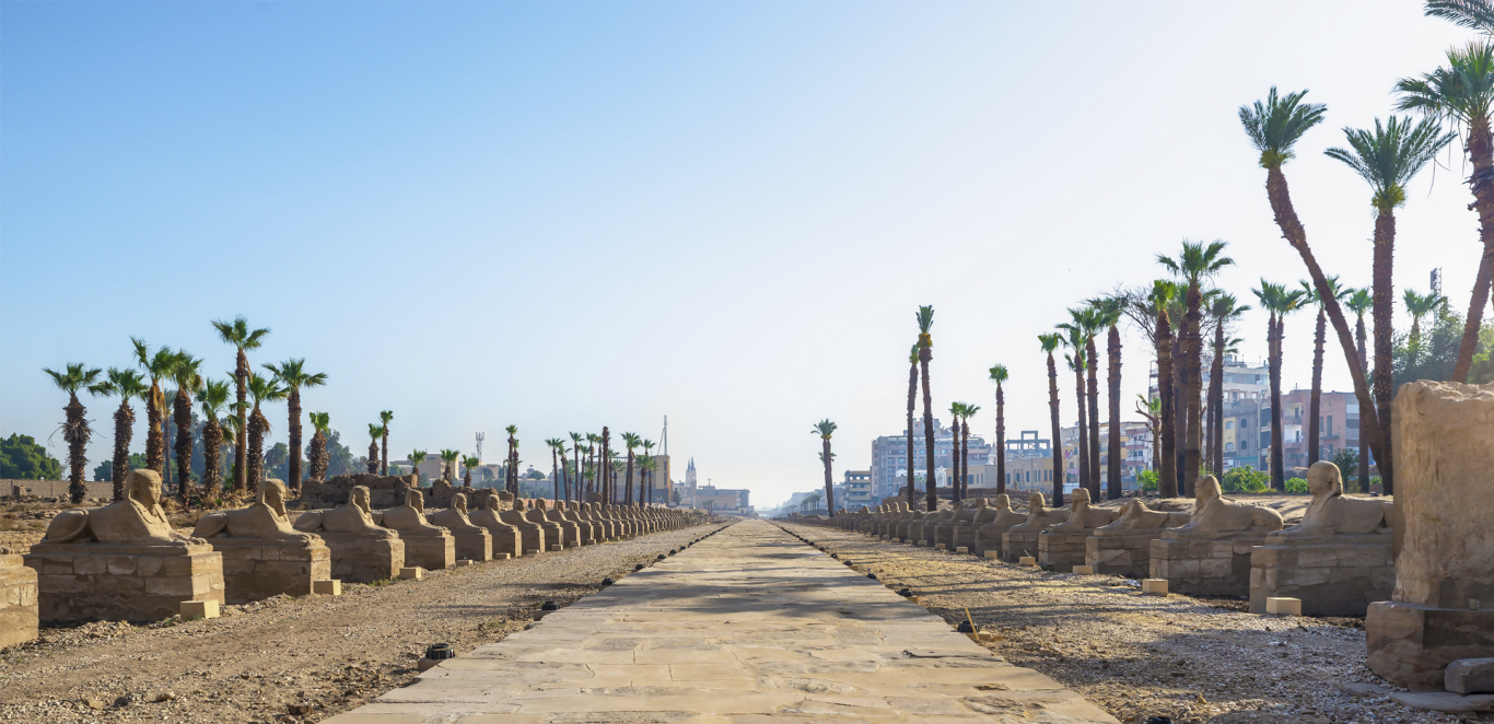EGIPTO COMPLETISIMO