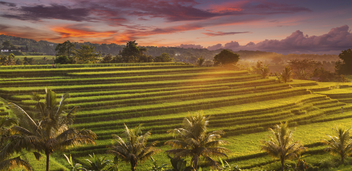 BALI