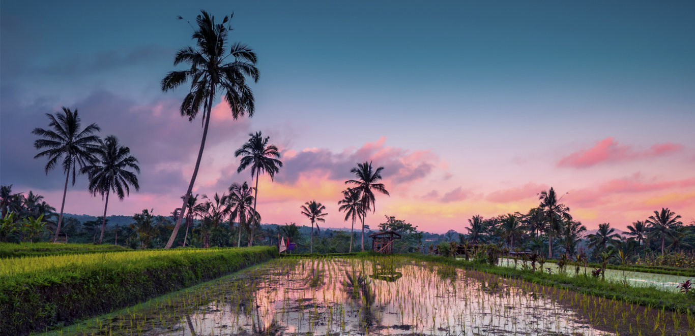 JAVA, BALI Y GILI