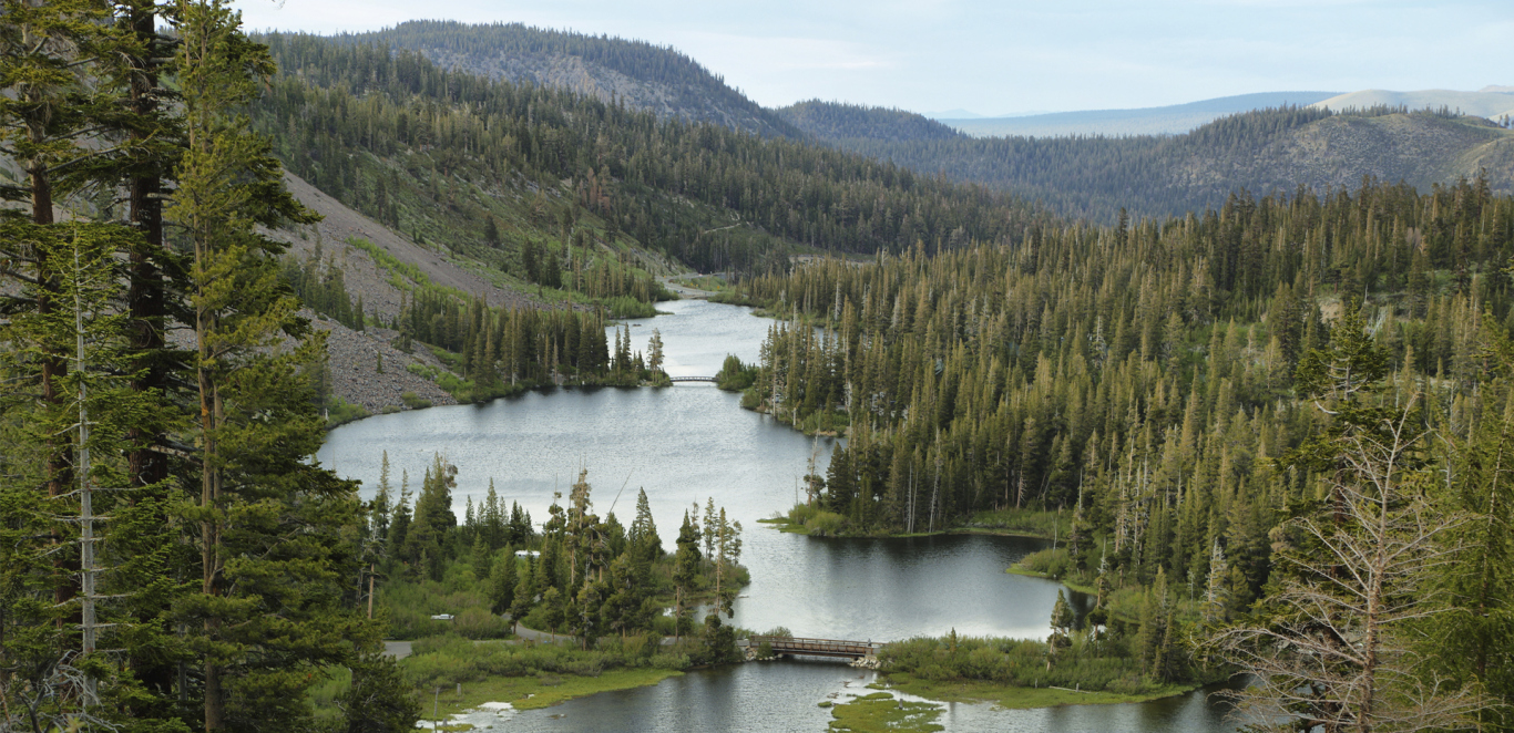 LAS VEGAS Y SAN FRANCISCO